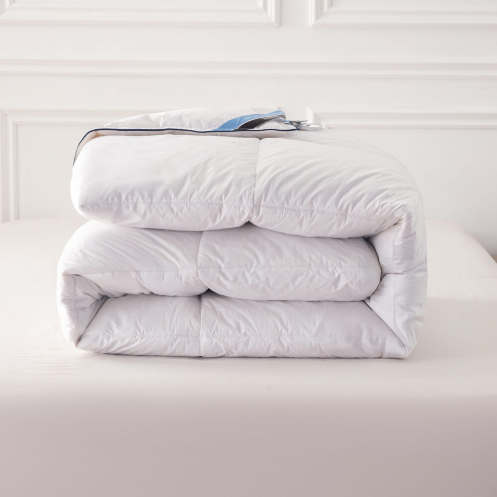 LUXE 4-seizoenen Dons Dekbed BLUE